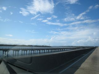 IMG_1949_320 IMG_1949_320