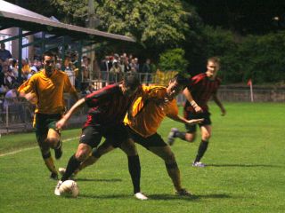 IMG_5305_320 IMG_5305_320