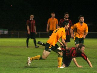 IMG_5459_320 IMG_5459_320